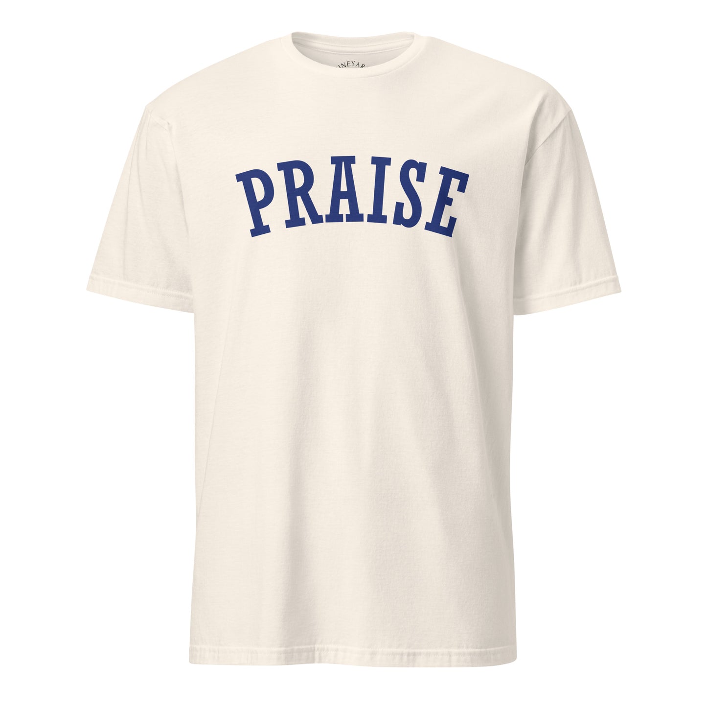 beige natural White t-shirt with 'PRAISE' printed in blue on a white background